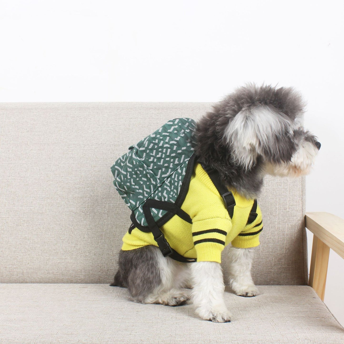 Dog Outing Backpack Small And Medium-sized