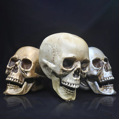 Skull Decor Plastic Prop Skeleton Head