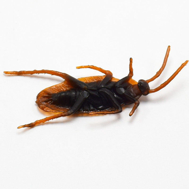 Halloween Simulation Cockroach