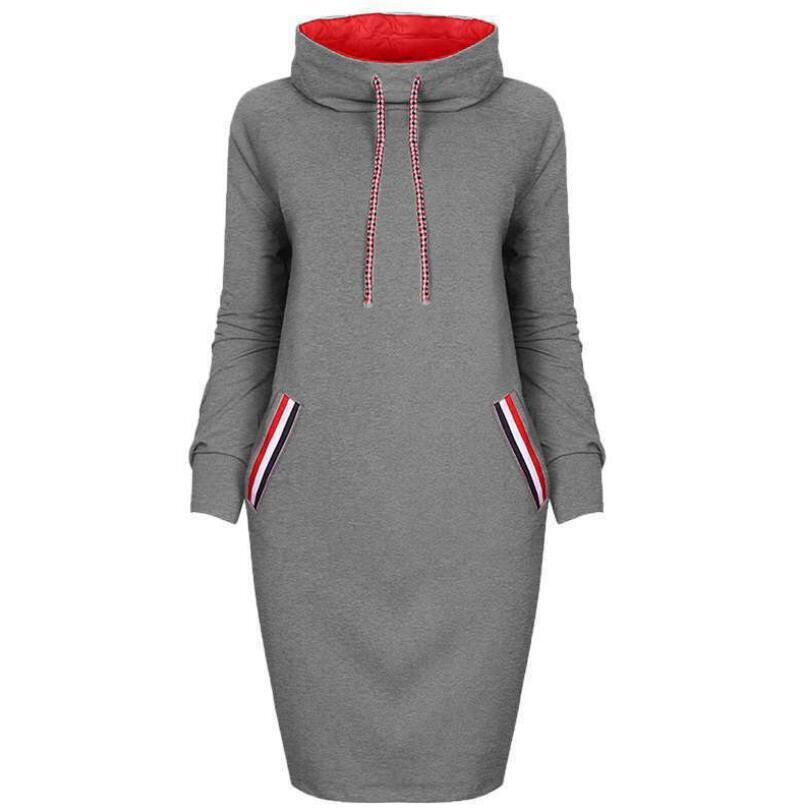 Autumn winter dress w/hood