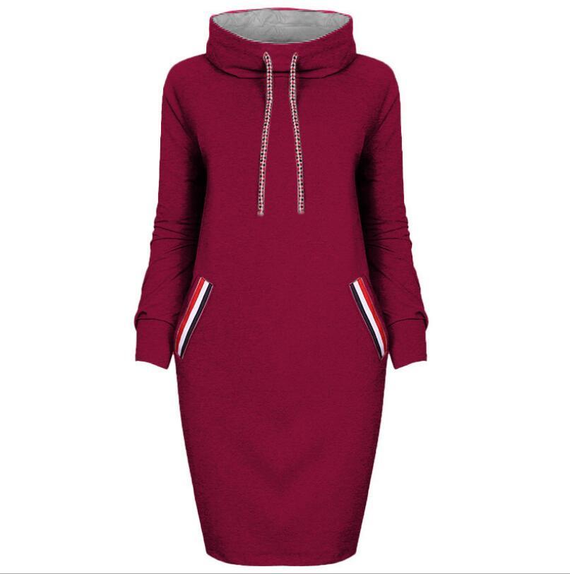 Autumn winter dress w/hood