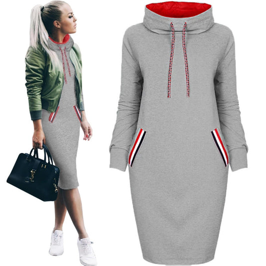 Autumn winter dress w/hood