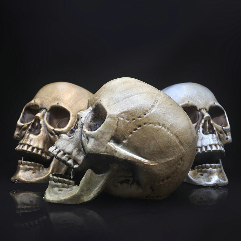 Skull Decor Plastic Prop Skeleton Head