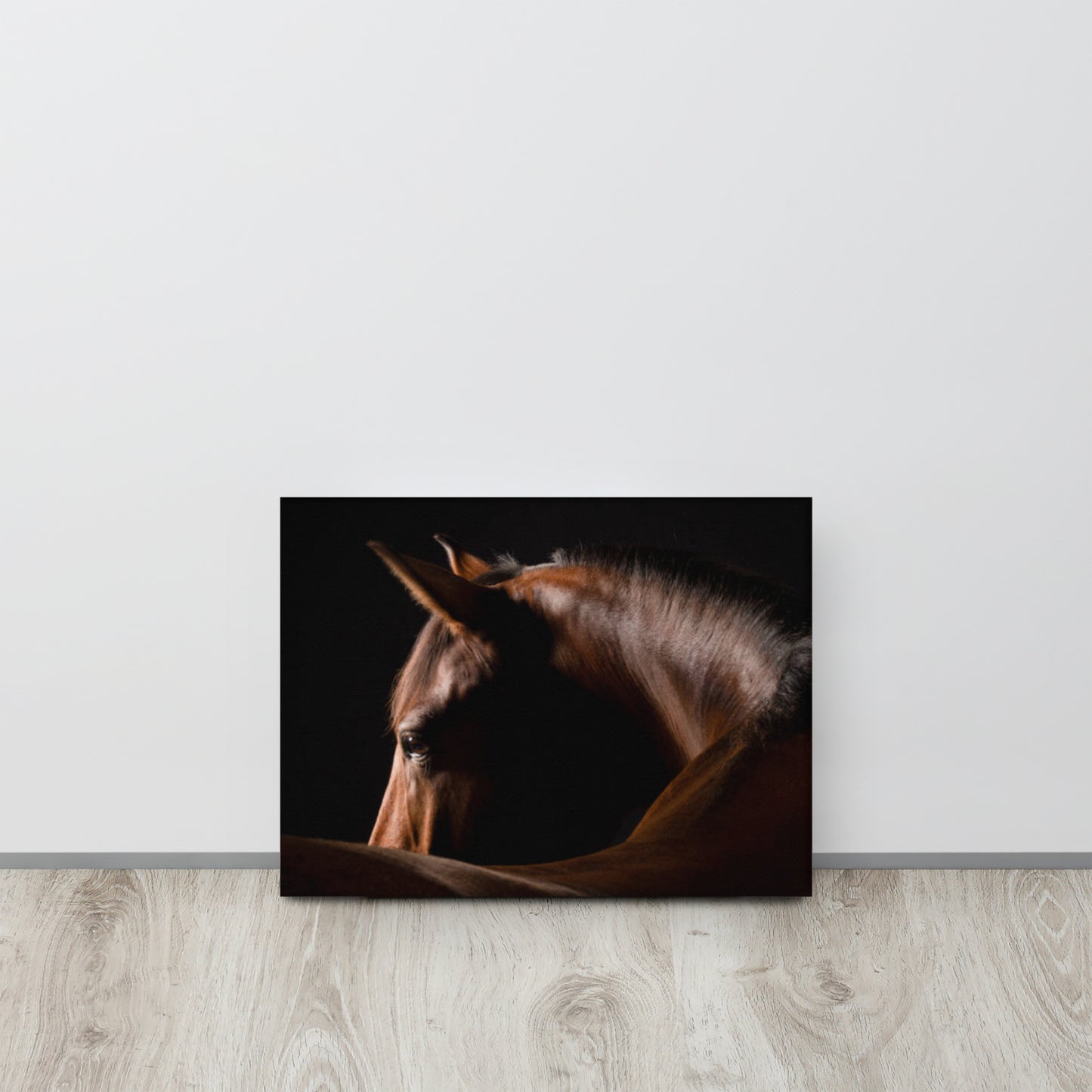 A Horse is A Horse Canvas