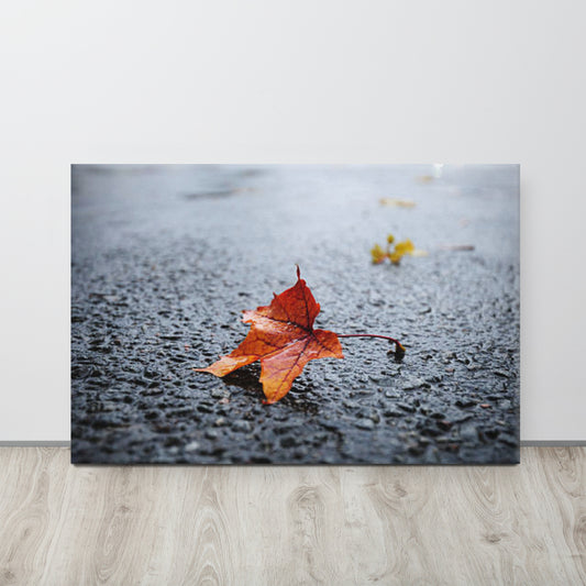 Falling Leaves Canvas