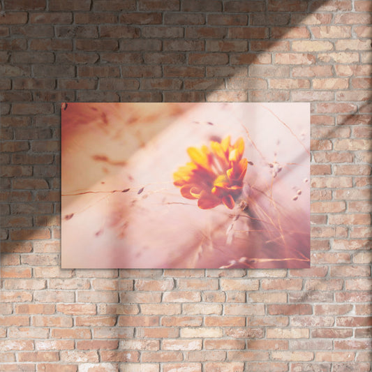 A flower amongst the grains Metal prints