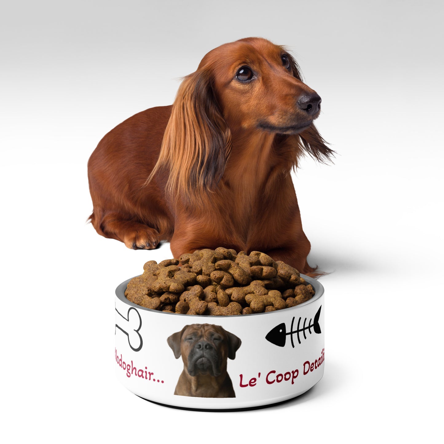 No Dog Hair Le' Coop Pet bowl